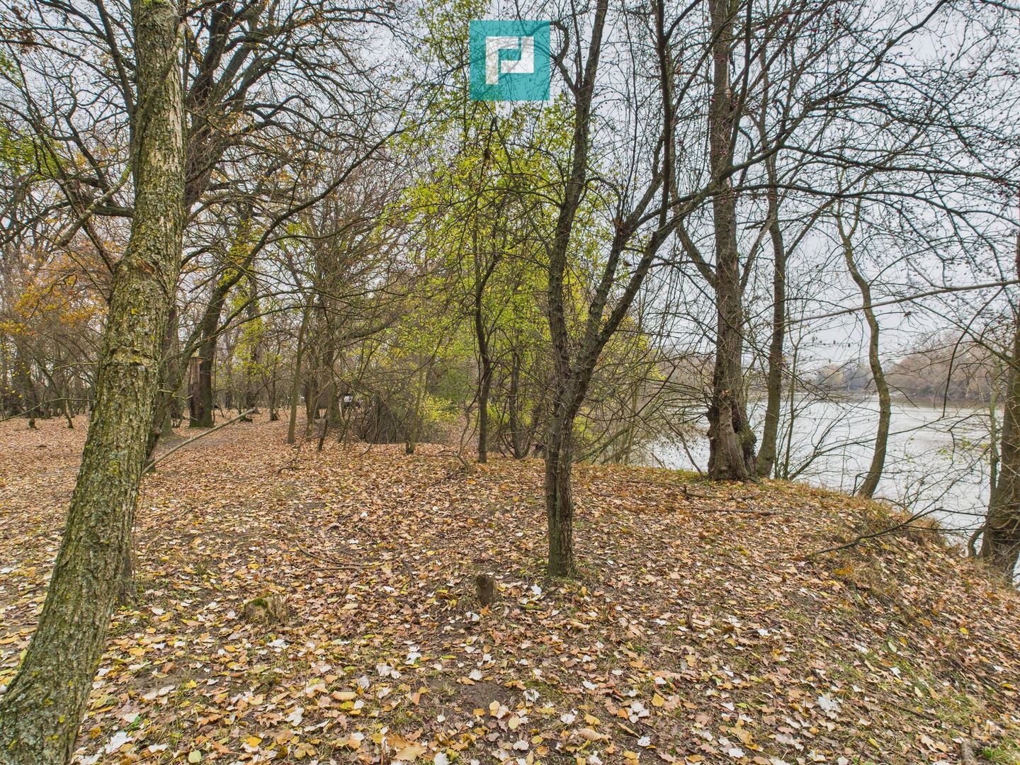 Teren spectaculos la  Periam Port - Poză 23