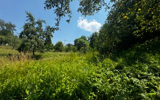 TEREN INTRAVILAN 2146 MP, ALBESTII DE MUSCEL, ARGES - Poză 10