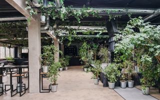 Spațiu  576mp+120mp curte  la 5 minute de Metrou Pipera - Poză 8