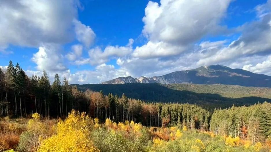 Aparthotel cu view superb Valea Prahovei - Poză 3