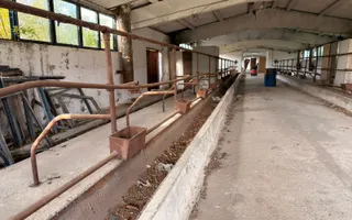 Fermă Sărand | Bihor | 25.659 mp teren intravilan - Poză 11
