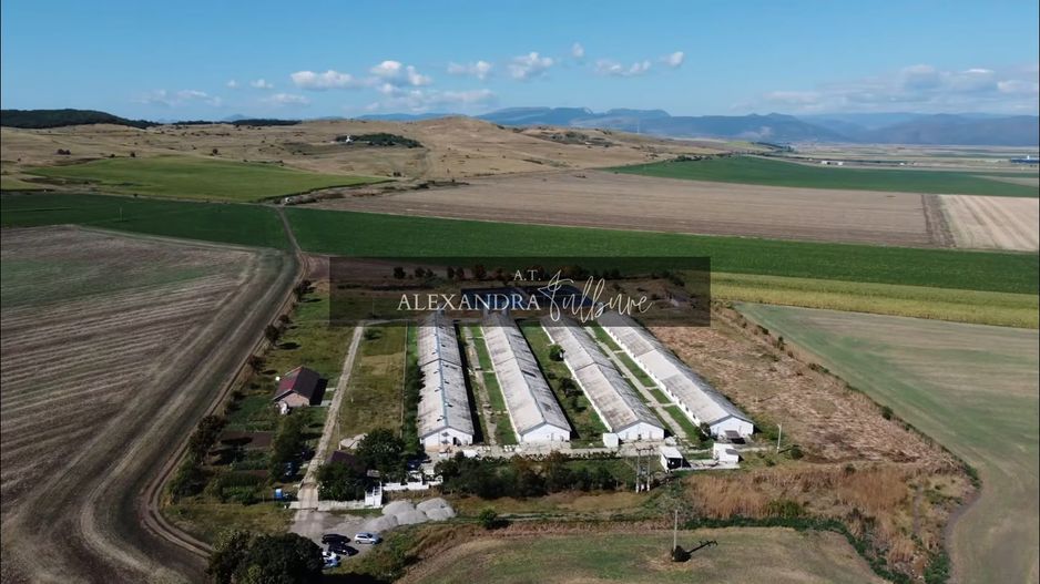 Ferma/ Hala industriala de vanzare, Bogata, Cluj - Poză 1