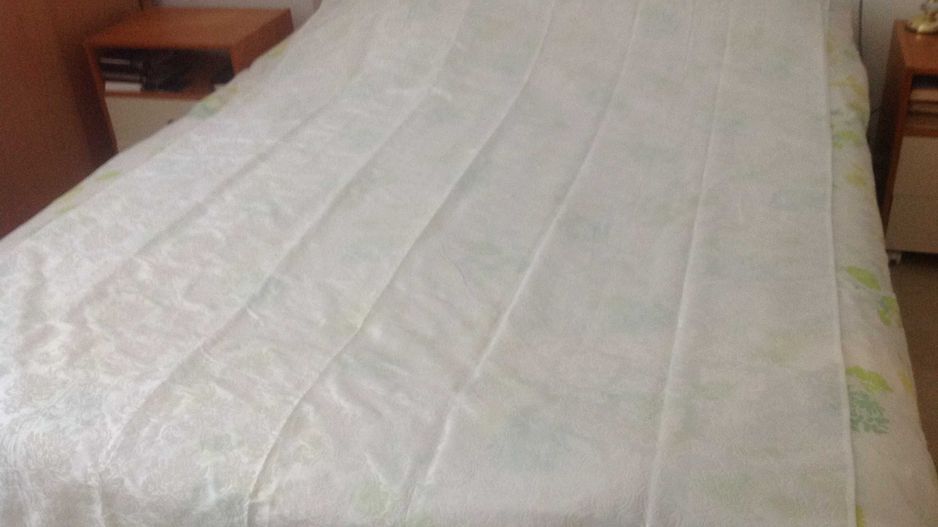 De vanzare Apartament 2 camere, demisol inalt, Mitropolie ULTRACENTRAL - Poză 2