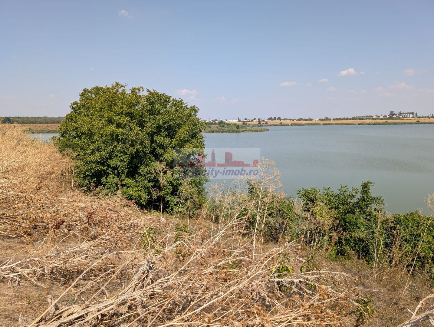 Teren de Vanzare Comuna Ciocanesti Jud Dambovita, 17.7 km de Bucuresti - Poză 4