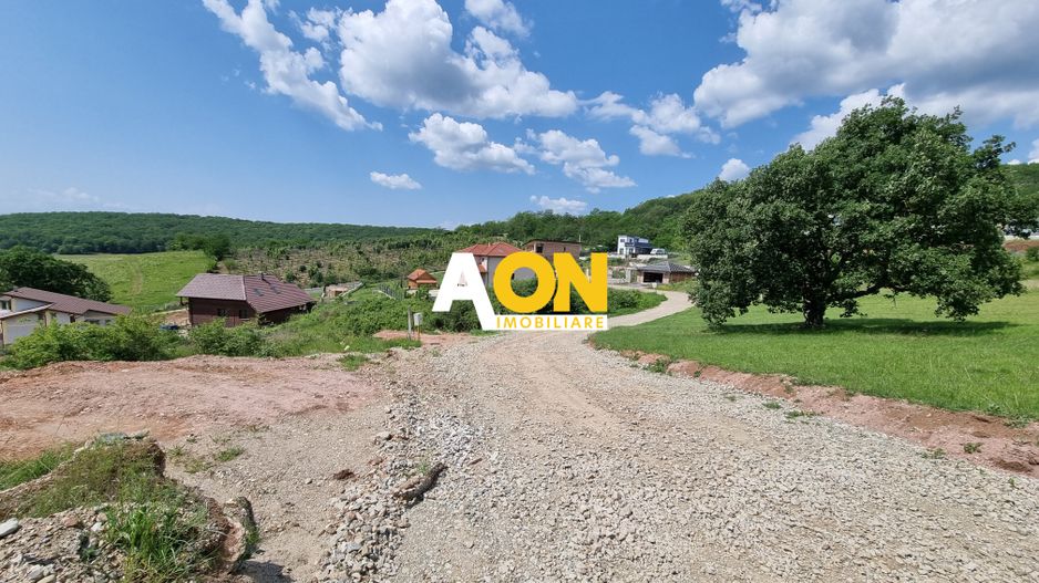 De vânzare teren intravilan 1000mp zona Seigau - Poză 4
