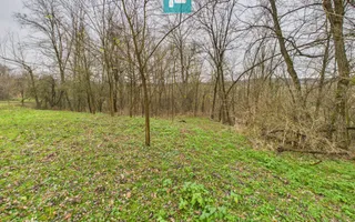 Casă cu teren de 24.679,73 mp, în Hălmagiu, Arad - Poză 35