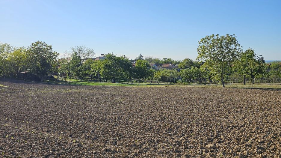 Teren intravilan Cetariu 5000 mp - Poză 3
