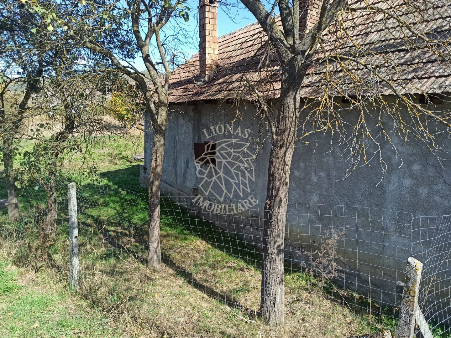 Casa 60 mp-teren 1044 mp-magazie, grajd, fanar-Teaca, 32km de Bistrita - Poză 6