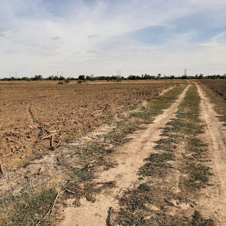 Teren, zona industriala, in Domnesti. Tarlaua 7, depozitele Logistics Park, A1 - Poză 13