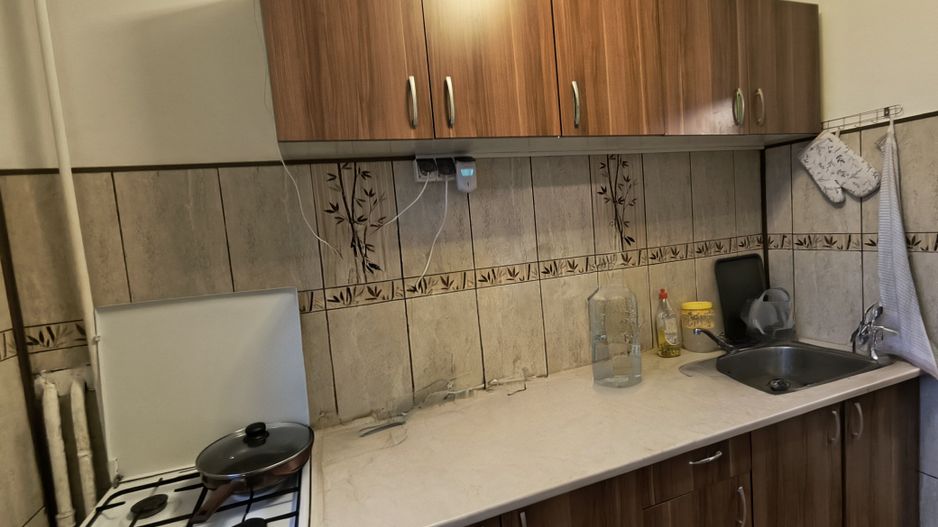 Metrou 1 Mai - Pod Constanța - Agronomie - Poză 7