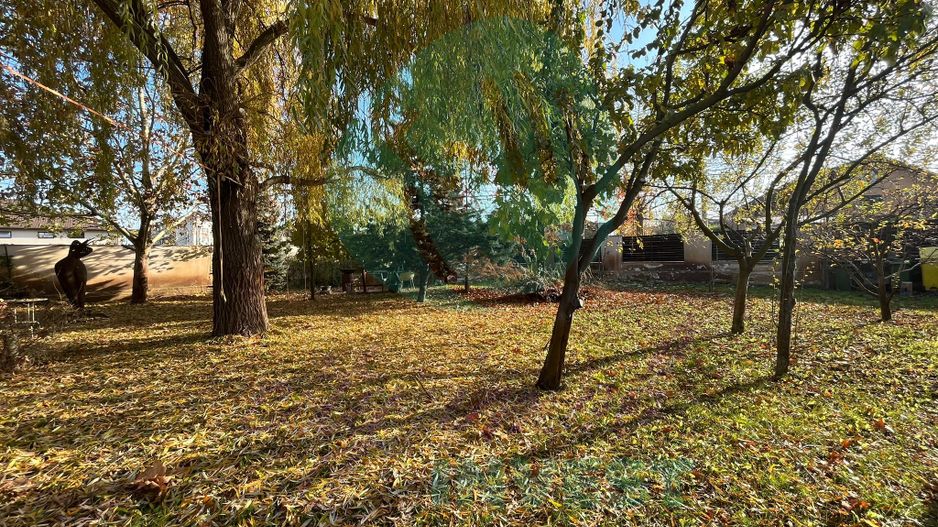 Vanzare teren central Otopeni - Poză 2