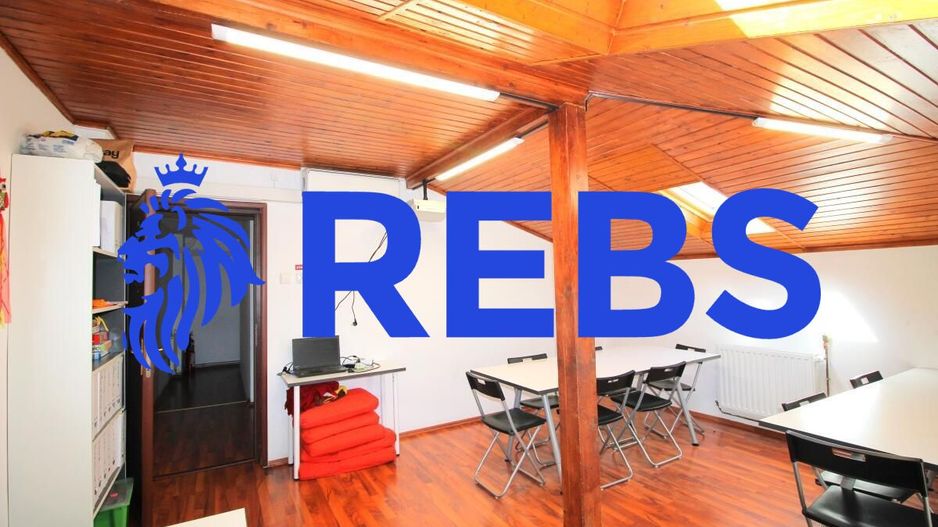 Salcamilor - Bd. Dacia, Vila renovata 223 mp utili, inchiriata! - Poză 66
