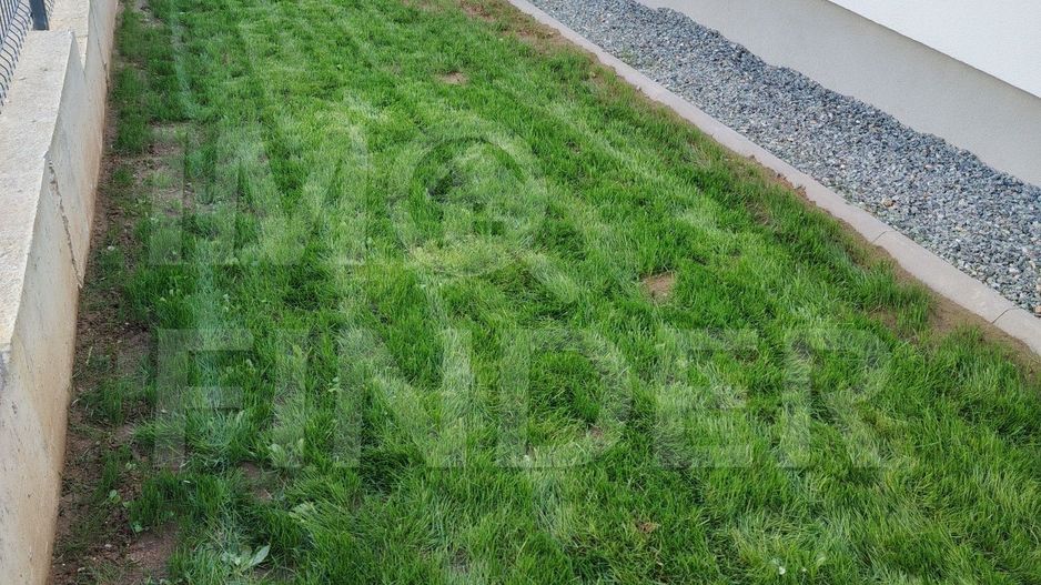 Vanzare Casă  Valea Seaca - Popesti -Corusu - Poză 7