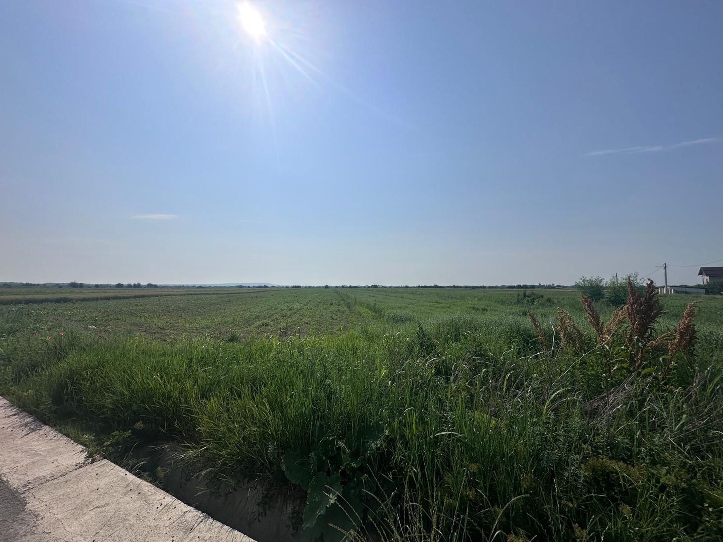 VÂNZARE TEREN MATRACA - Poză 3