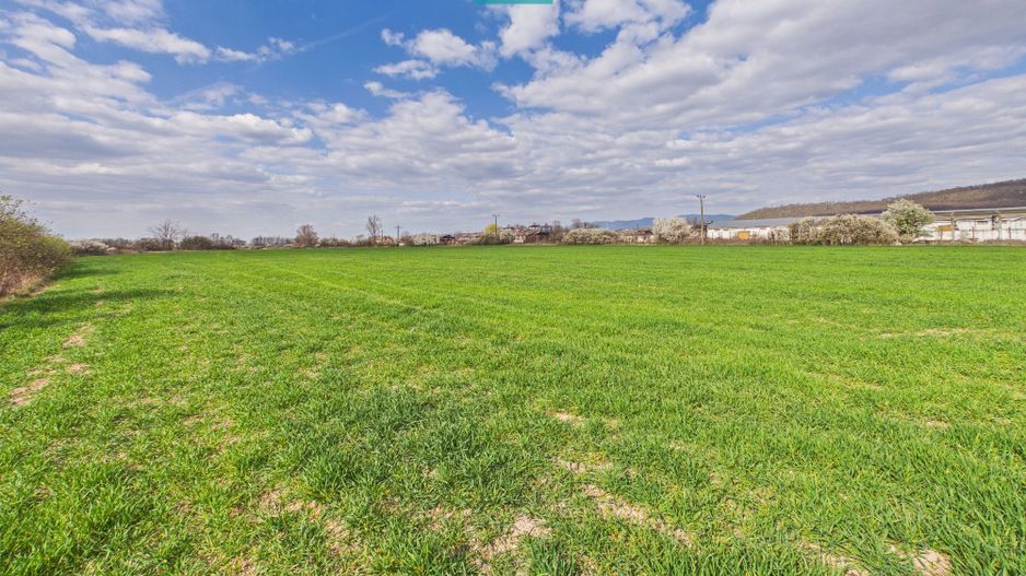 Teren extravilan, 1 ha, în orașul Sebiș, Arad - Poză 7