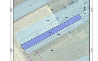 Teren intravilan 2078 mp langa padure - Piscu Ciolpani Snagov - Poză 8