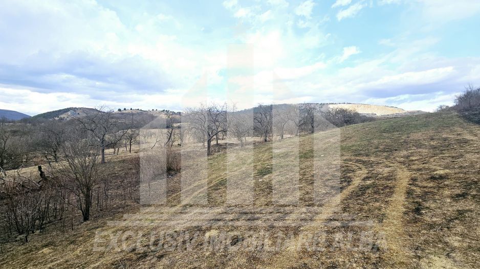 Teren intravilan de vanzare, Geogiu de Sus - Poză 5