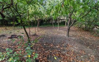 Teren de vanzare cu doua fronturi stradale - Poză 9