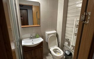 Apartament | Etaj 1 | Balcon | Renovat | Vasile Aaron - Poză 13