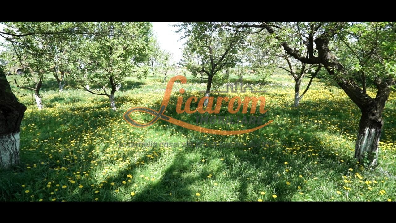 Oferta Conac boieresc P+M,teren 20400 mp - Poză 17