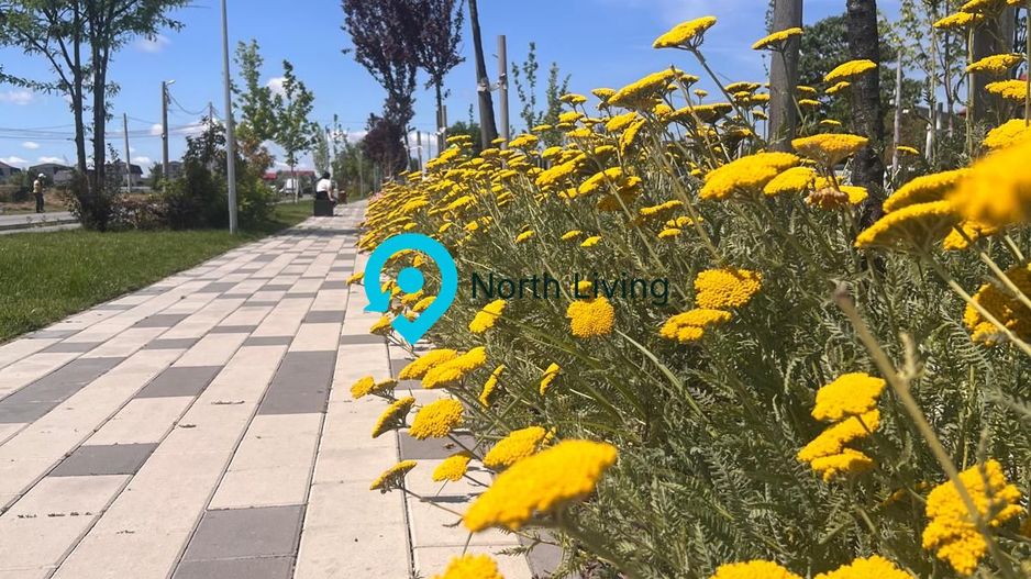 Garsoniera| Proiect de Top ultracentral| Bragadiru - Poză 6