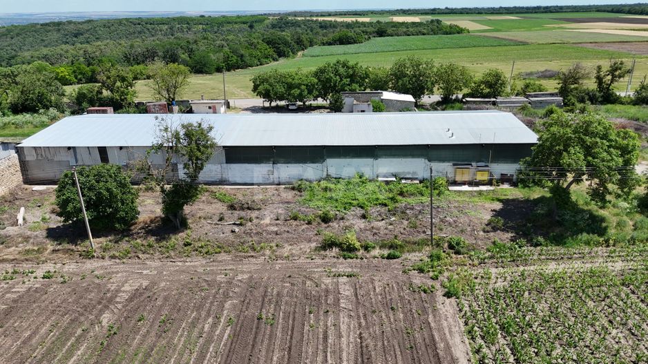 Fabrică funcțională cu profit și acces direct la R2 - Poză 7