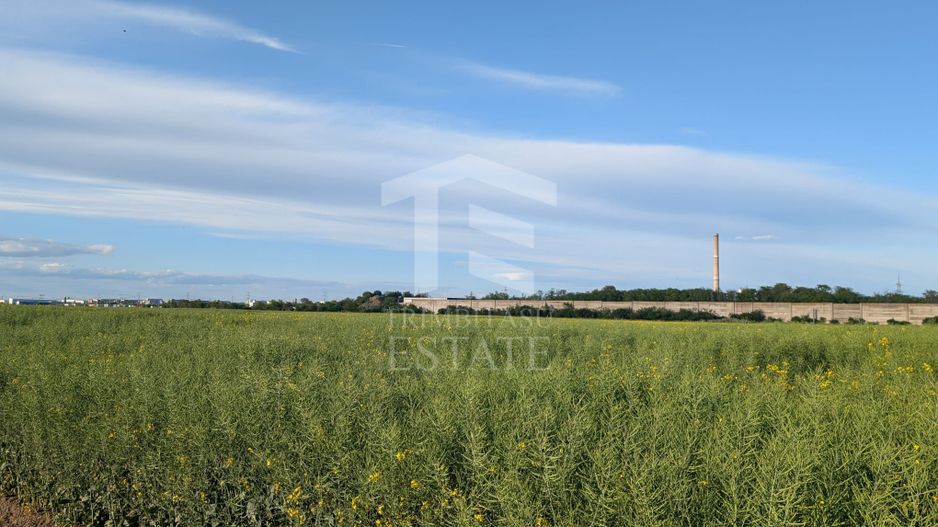 Teren de vanzare Domnești - Str. Narciselor - 20312mp - Poză 5