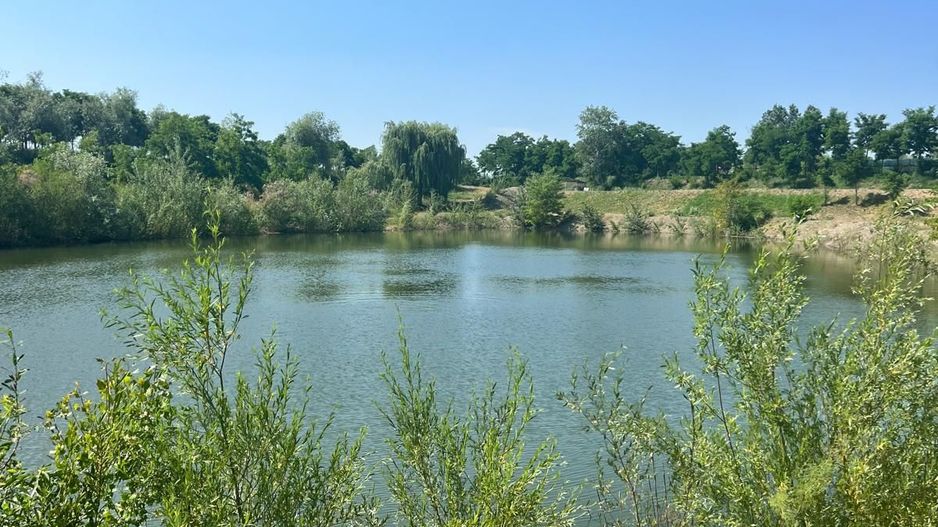 Iaz Piscicol Bacau Saucesti - Poză 11