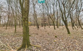 Teren spectaculos la  Periam Port - Poză 28