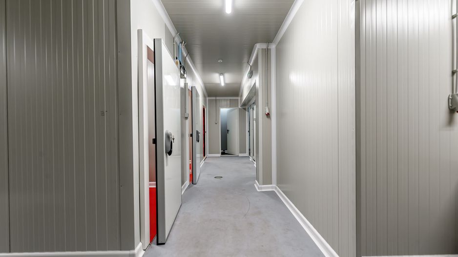 Unitate de abatorizare și procesare carne DN7  -  Nădlac - Poză 3