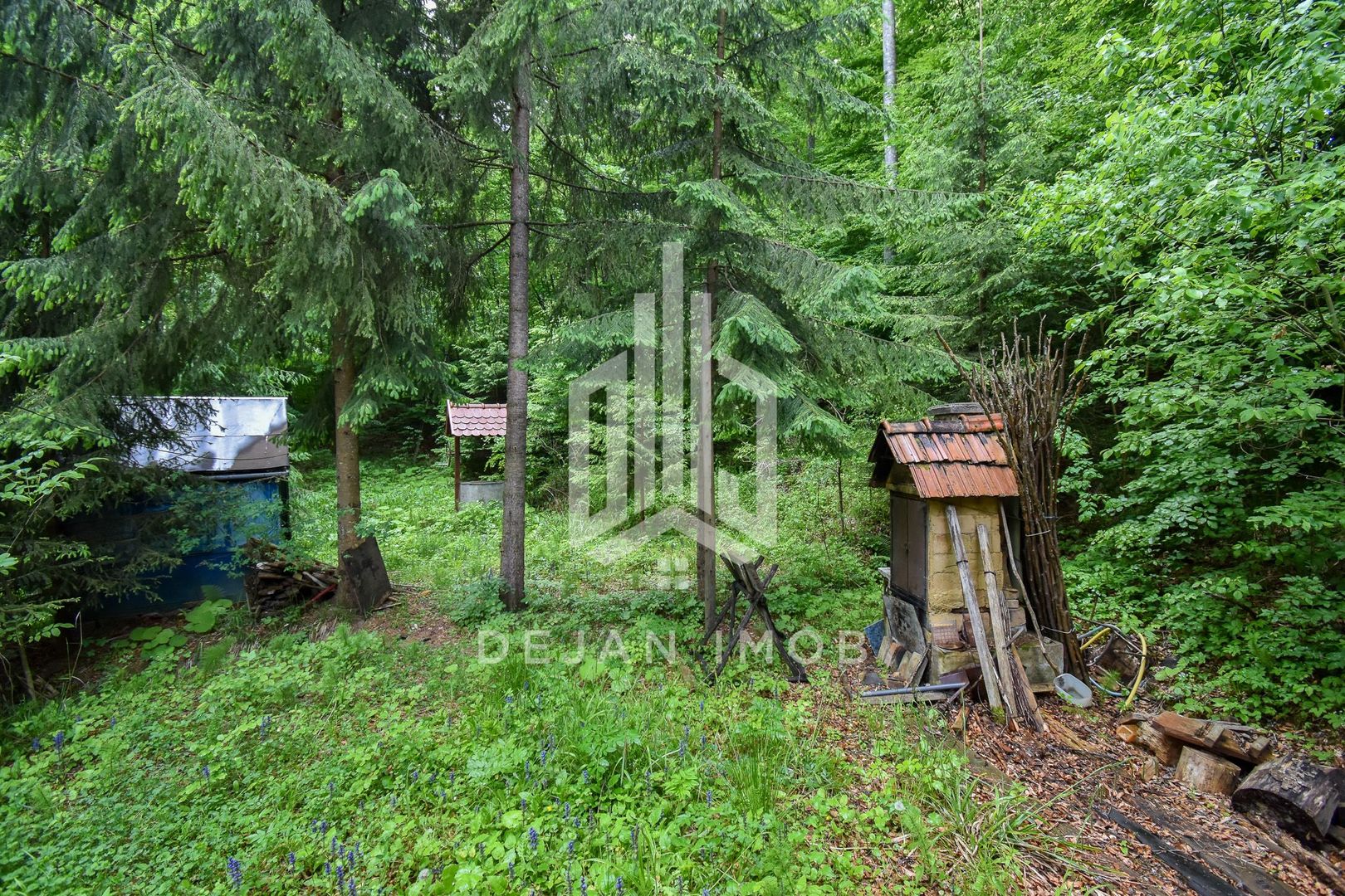 Casă / Vilă de vânzare în Nord, Sfantu Gheorghe - Poză 7