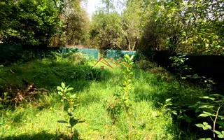 Casa de vacanta, P+M, 6 camere, teren 2200 mp, Breaza, Judetul Prahova - Poză 19