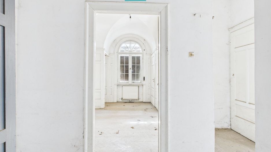 Vilă deosebită cu caracter istoric în Periam - Poză 5