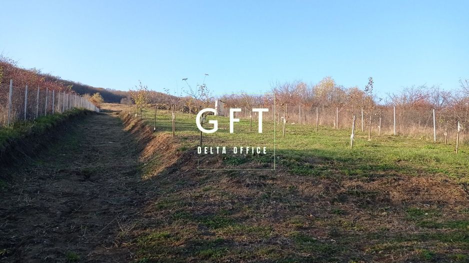 Teren intravilan 2700 mp-ideal case/investitie-Viisoara - Poză 6