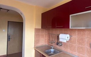 Apartament spațios 2 camere, vedere Delea Nouă – Theodor Speranția - Poză 5