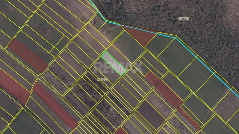 Teren agricol de 24 ari în Ghidighici – aproape de pădure, potrivit pentru investiție sau activitate agricolă - Poză 6
