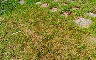 Teren in localitatea Reci,langa lacuri - Poză 12