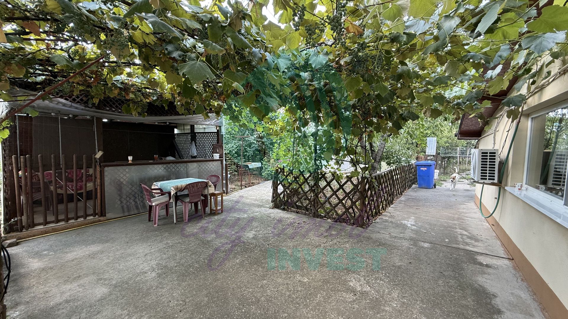 Casă parter + 1100 mp teren în Popești-Leordeni - Poză 12