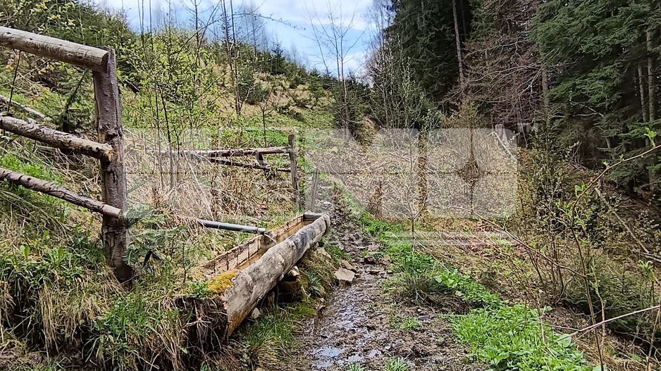 Teren Intravilan | Brodina de Jos | 16900 MP - Poză 11