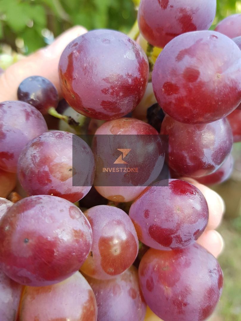 Teren cu utilități 2052 mp - Oradea - str. Făgetului - Poză 10