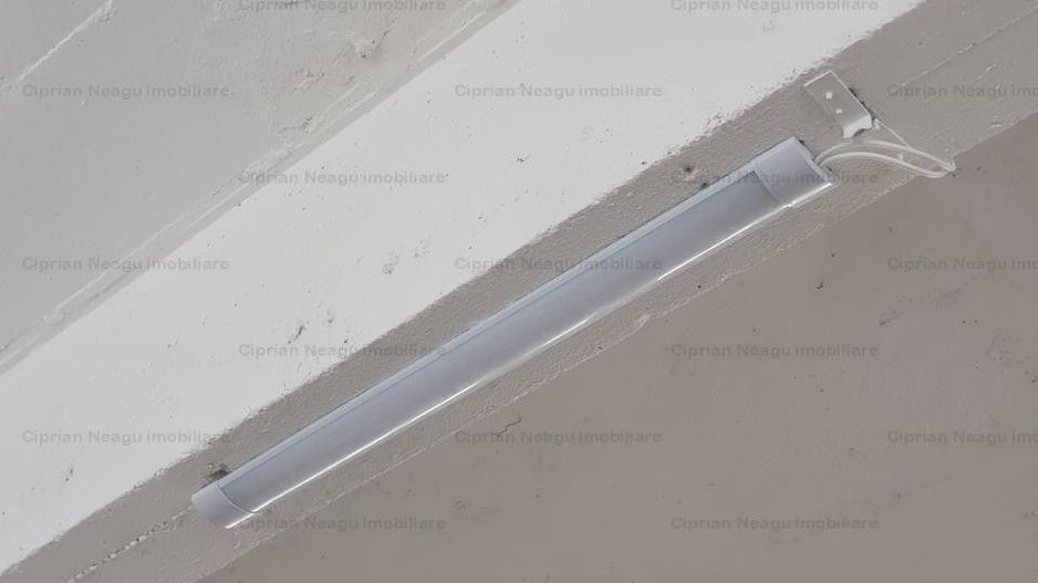 Hala Depozitare de Inchiriat Pitesti - Poză 12