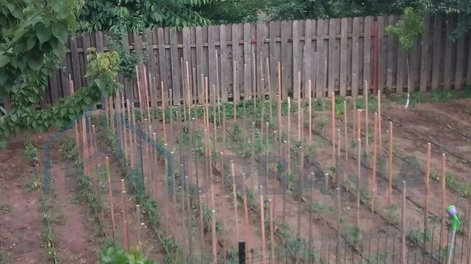 Casă spațioasă de vânzare, 220 mp, teren 700 mp, Horpaz – ideală pentru două familii - Poză 6