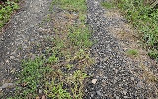 Vânzare teren intravilan 2800 mp – Baia Sprie, cartier de case - Poză 5