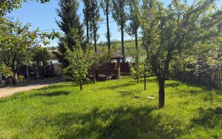Casă spațioasă pe malul lacului Ezareni, zona Valea Adâncă, Miroslava – de închiriat - Poză 3