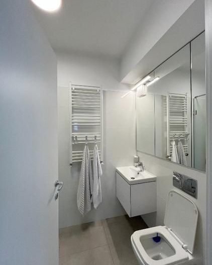 APARTAMENT 2 CAMERE PARC CAROL 2 MIN METROU TINERETULUI - Poză 10