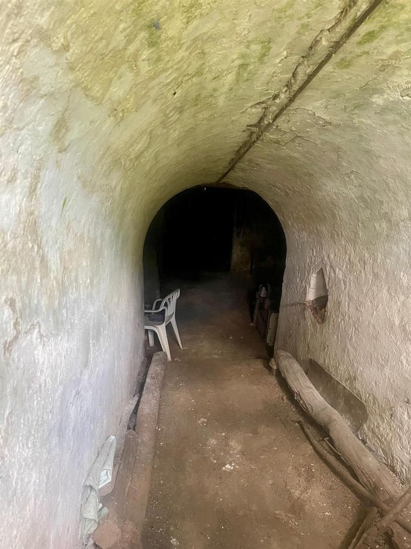 Casa cu 3 camere in Sacueni - Poză 10