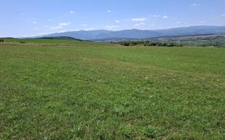 Teren extravilan agricol 3.800 mp | Bungard | 3 căi de acces - Poză 3