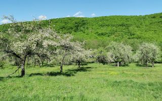 Teren 680mp Budeasa Mica, AG - Poză 4