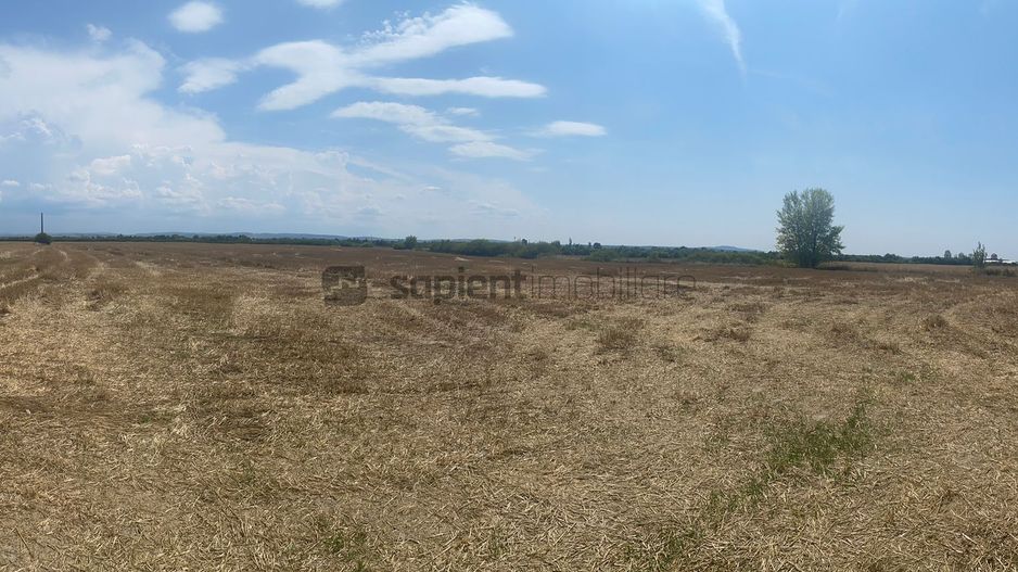 Sapient | Teren intravilan  la E60 - Poză 2