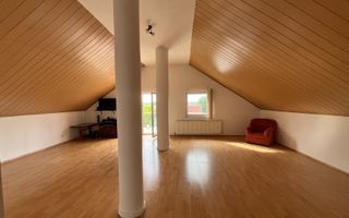 Oportunitate investitie, vila strada Dimitrie Cantemir - Poză 21